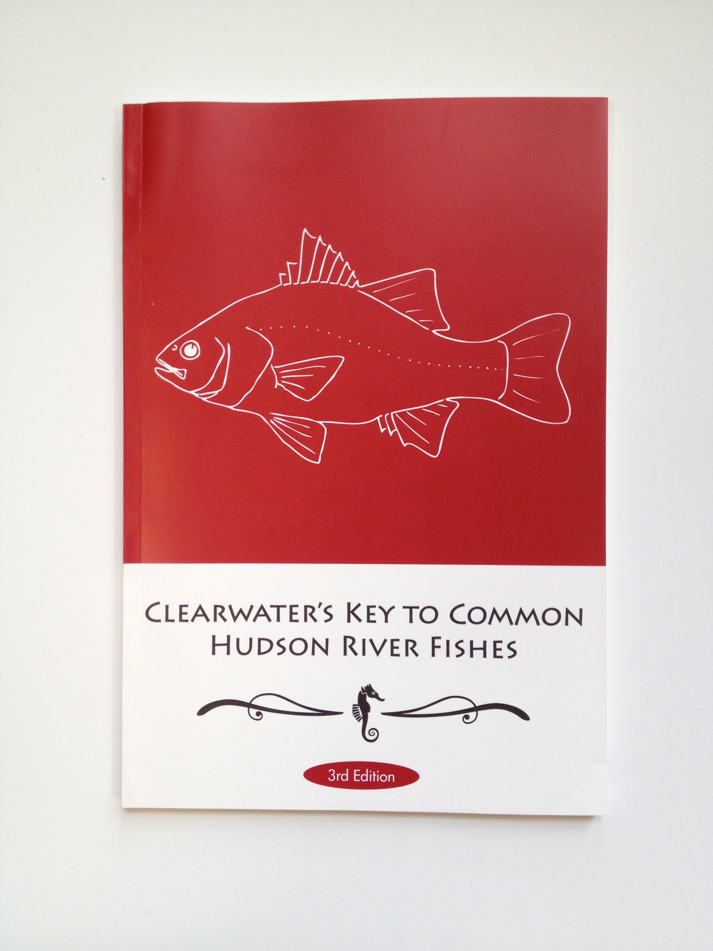 Simple Fish Key Fish Key: Clearwater's Key to Common Hudson River Fishes | Clearwater Store